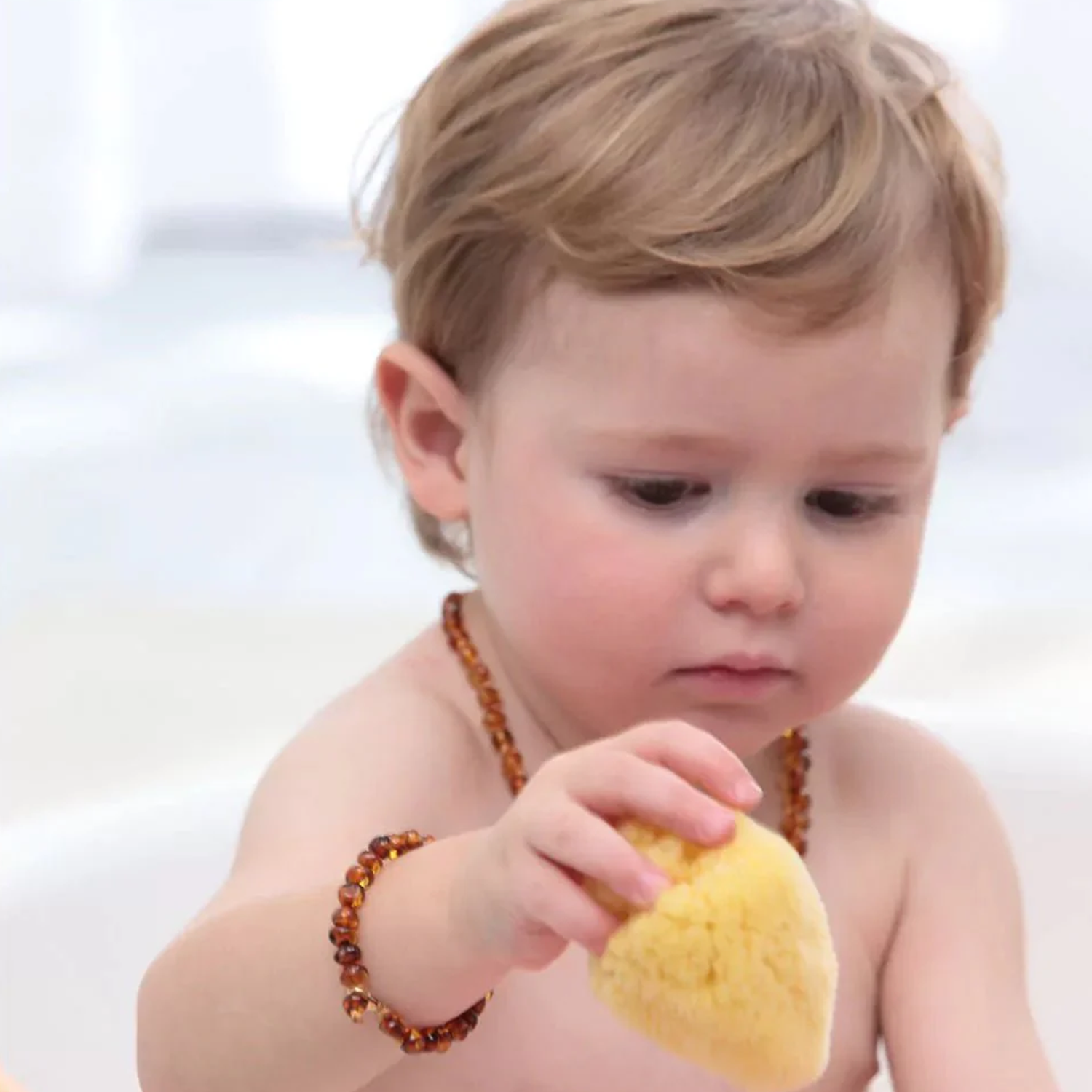 Grünspecht Baby Naturschwamm Zimocca
