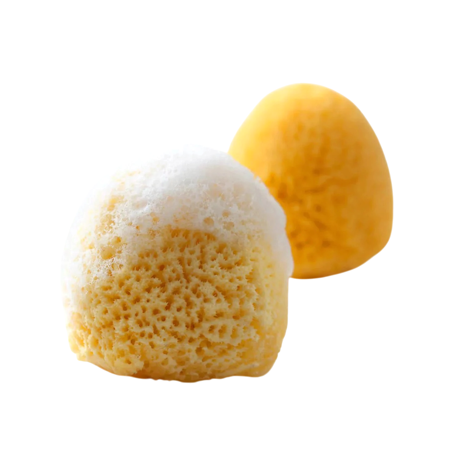 Grünspecht Baby Naturschwamm Zimocca