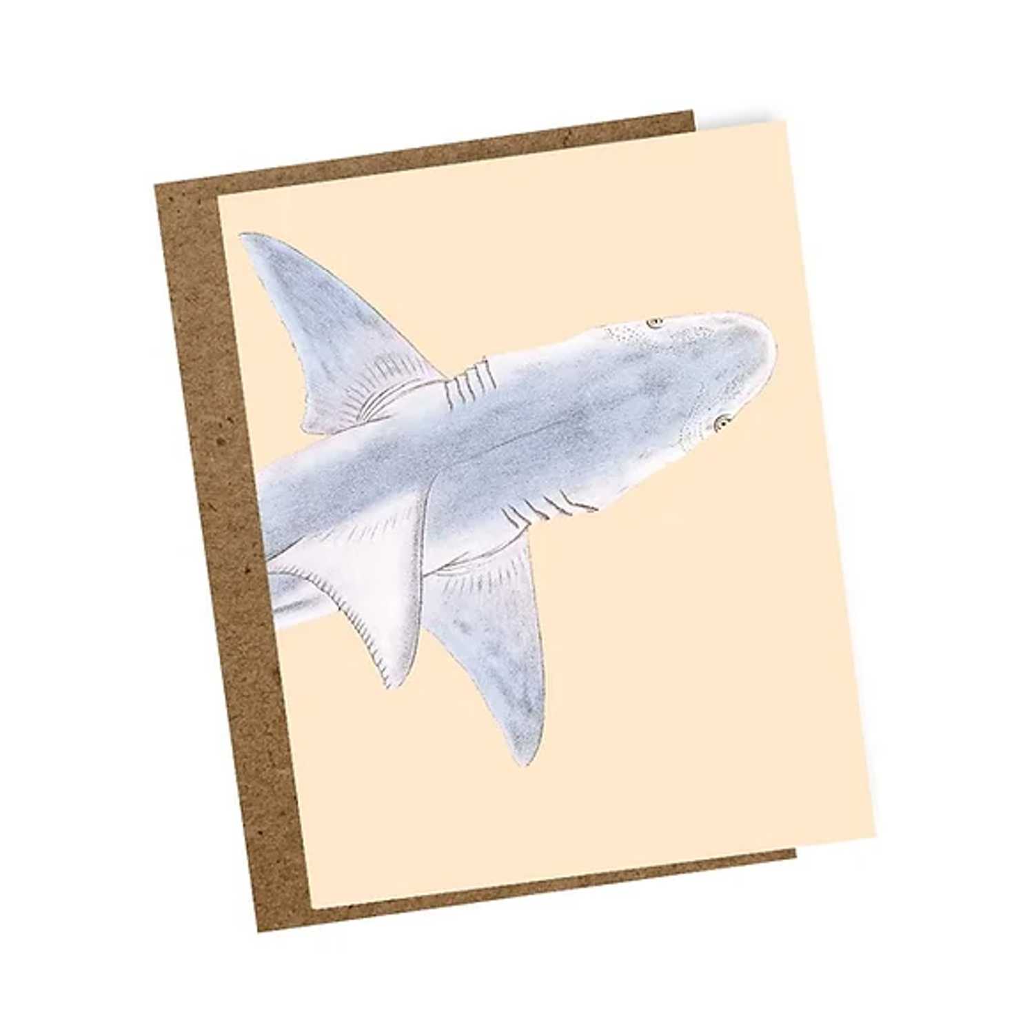 30x40 Mini Grußkarte mit Umschlag Crossroads Hai