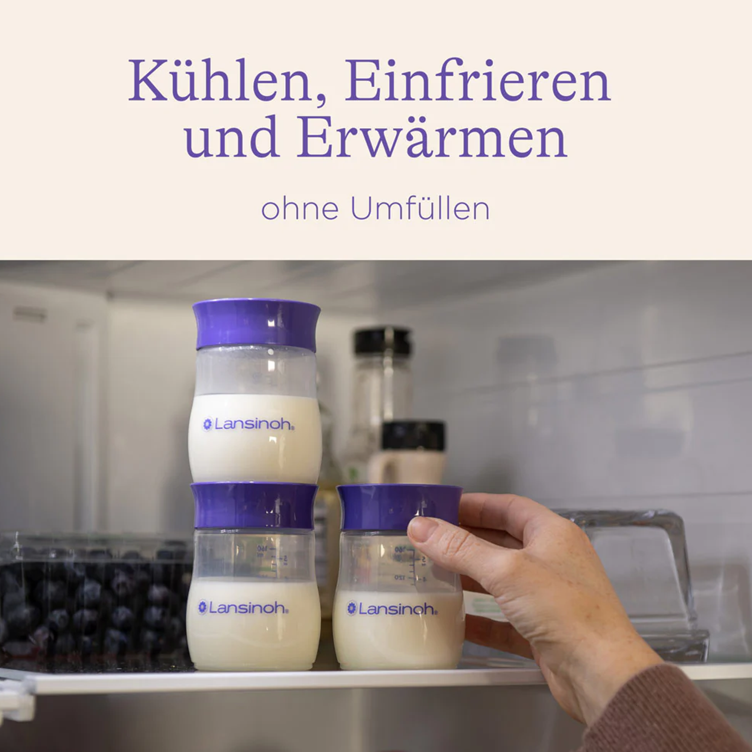 Lansinoh Muttermilchflaschen 4 Stück