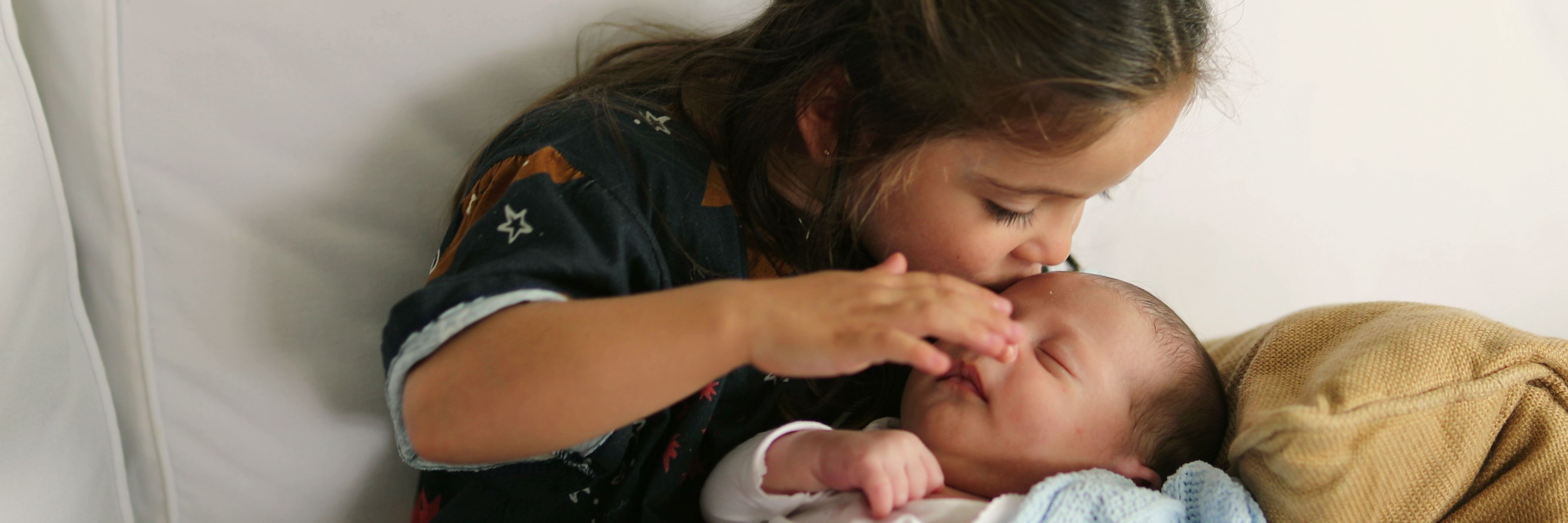 banner_milchwiese_shop_start_new